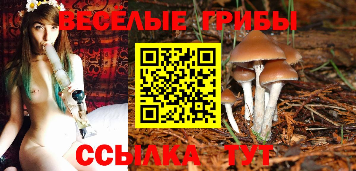 Саяногорск  Галлюциногенные грибы Psilocybe  Галлюциногенные грибы Cubensis  Вход с VPN 